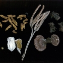 img20020312_167v2