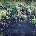 09 Total Disappearance, v.1 (video still)