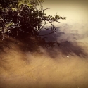 15 img20111224_018v2