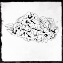 24 Untitled (furled)