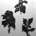 04 Three cut-outs