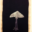 16 Mushroom