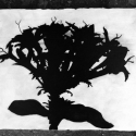 23 Untitled (ornamental #1)