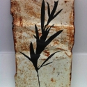 29 Oleander #1