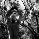 Water Mangrove Prayer #2