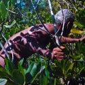 Mangrove, Mud, Mystery (series)