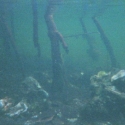 underwater-mia01