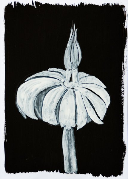 25 img20110430_039v2