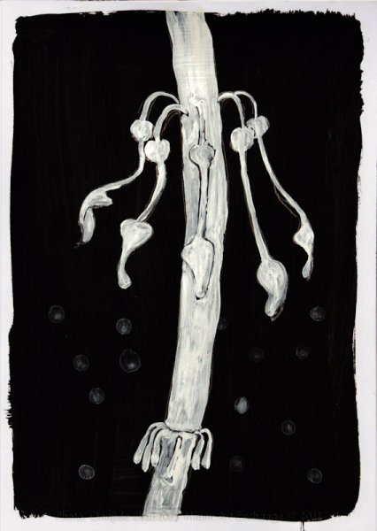 28 img20110507_017v2